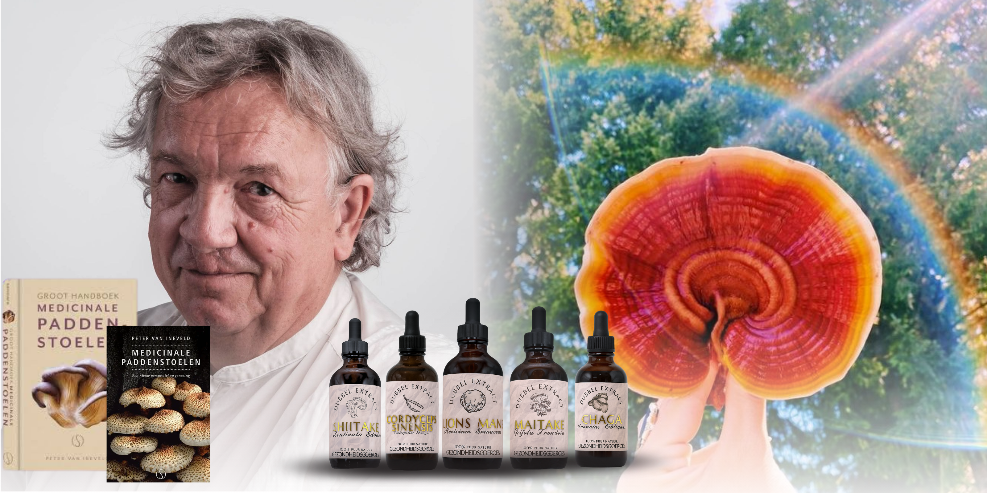 Mushroots - Paddestoelen collectie
