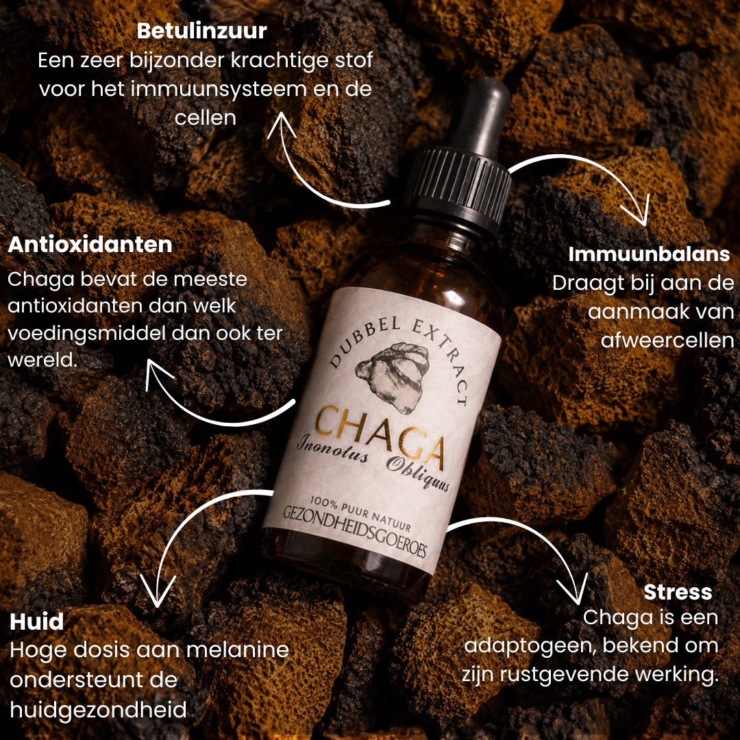 Chaga extract 10:1 | Vloeibaar alcohol & water tinctuur.