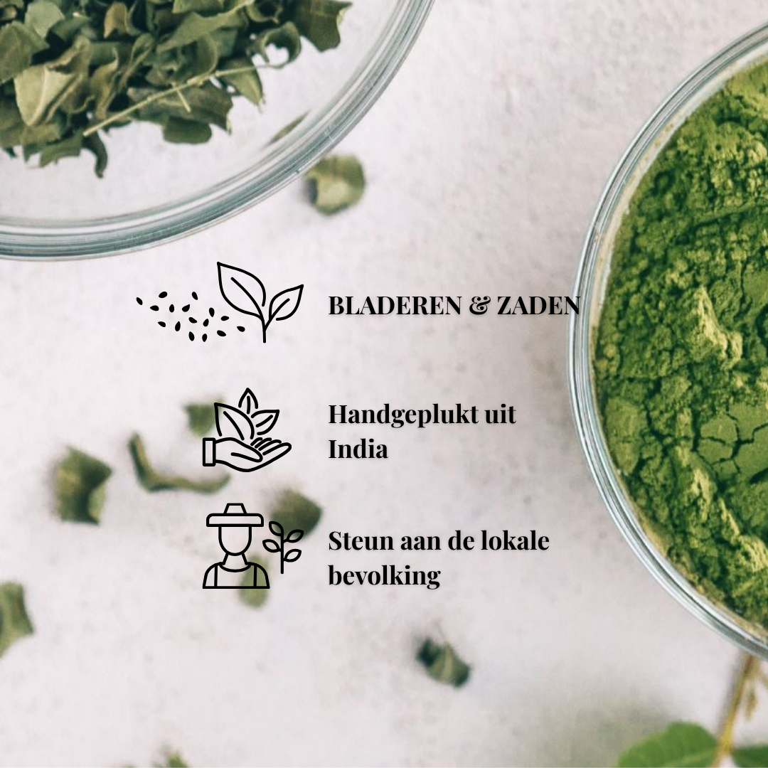 Moringa Extract | 120 Capsules