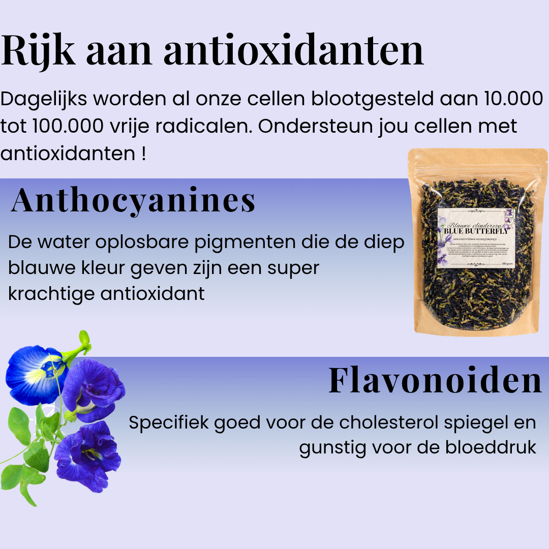 Blue Butterfly Pea Vlindererwt