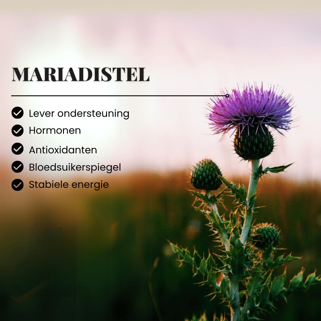 Mariadistel +80% Silymarine | 120 capsules