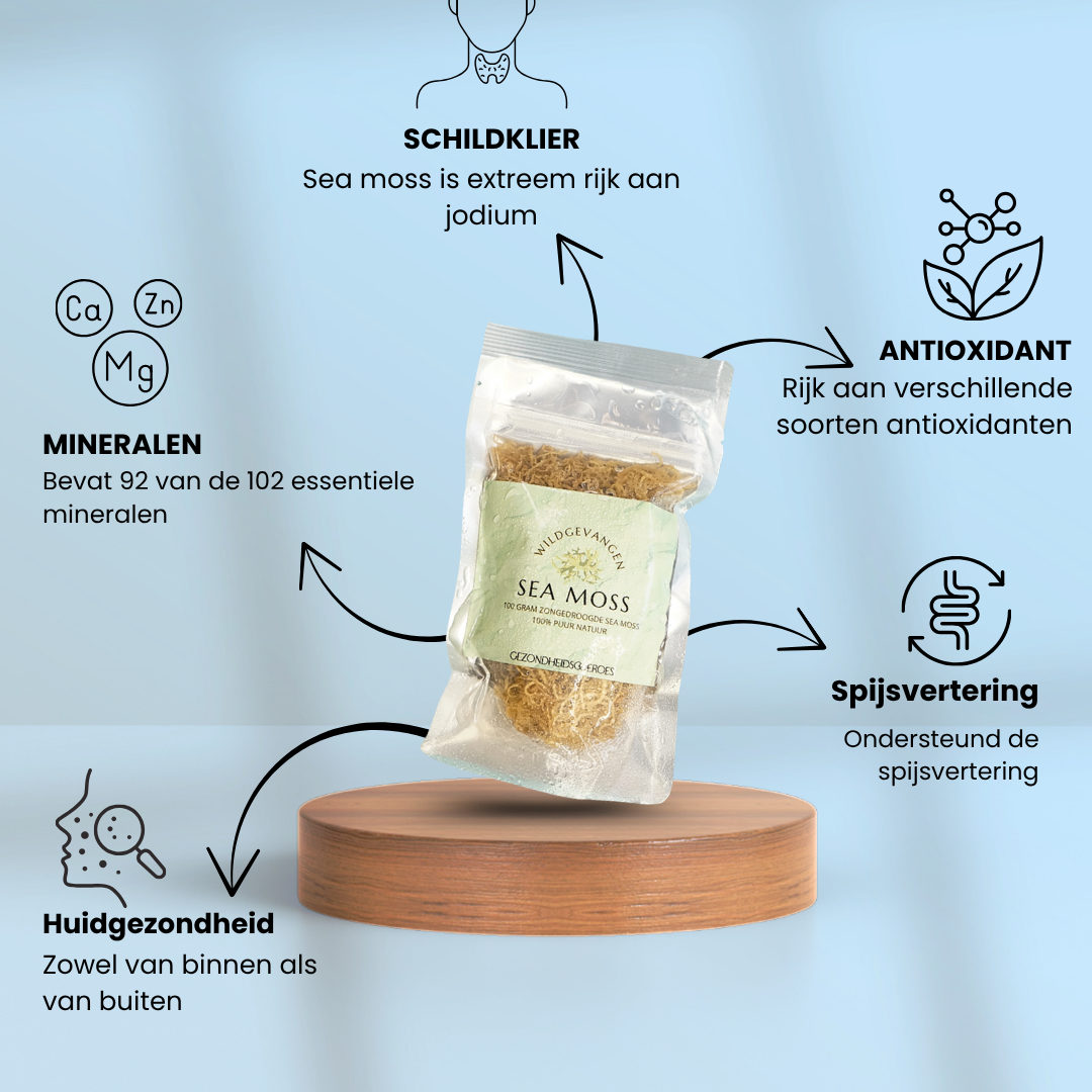 Sea Moss Wildgevangen Zongedroogd | 100 Gram