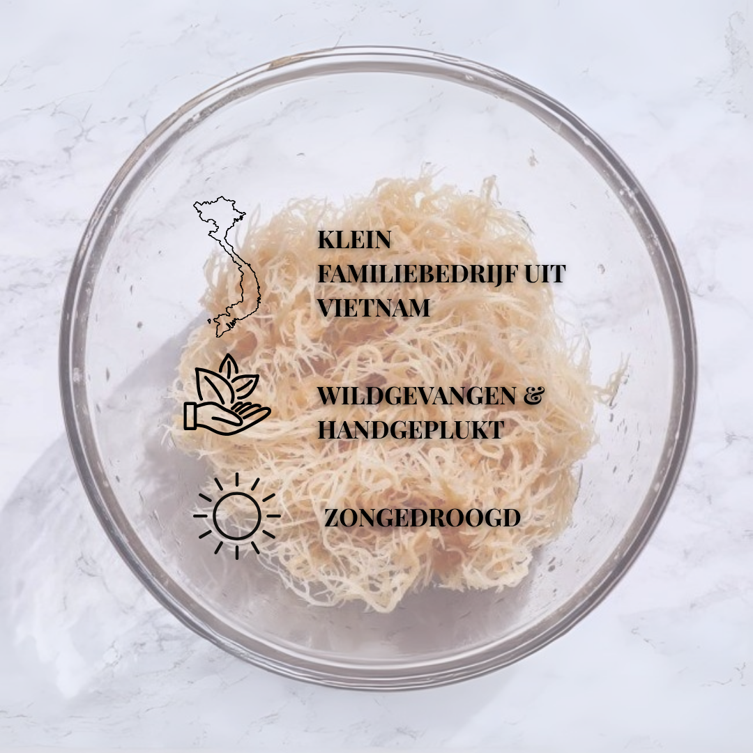 Sea Moss Wildgevangen Zongedroogd | 100 Gram