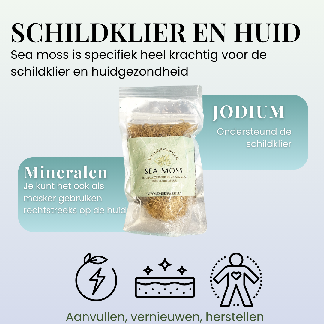 Sea Moss Wildgevangen Zongedroogd | 100 Gram