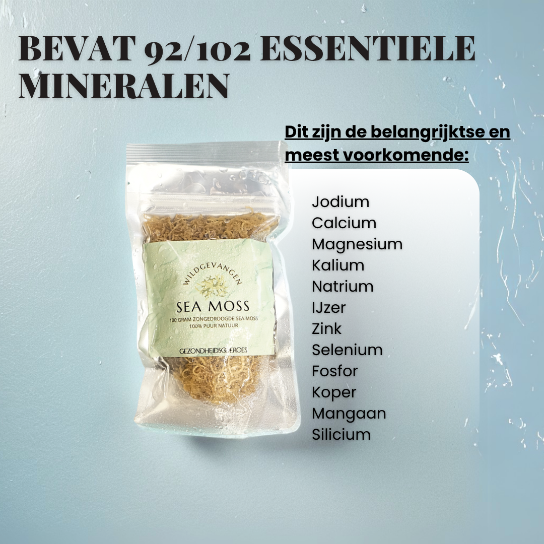 Sea Moss Wildgevangen Zongedroogd | 100 Gram