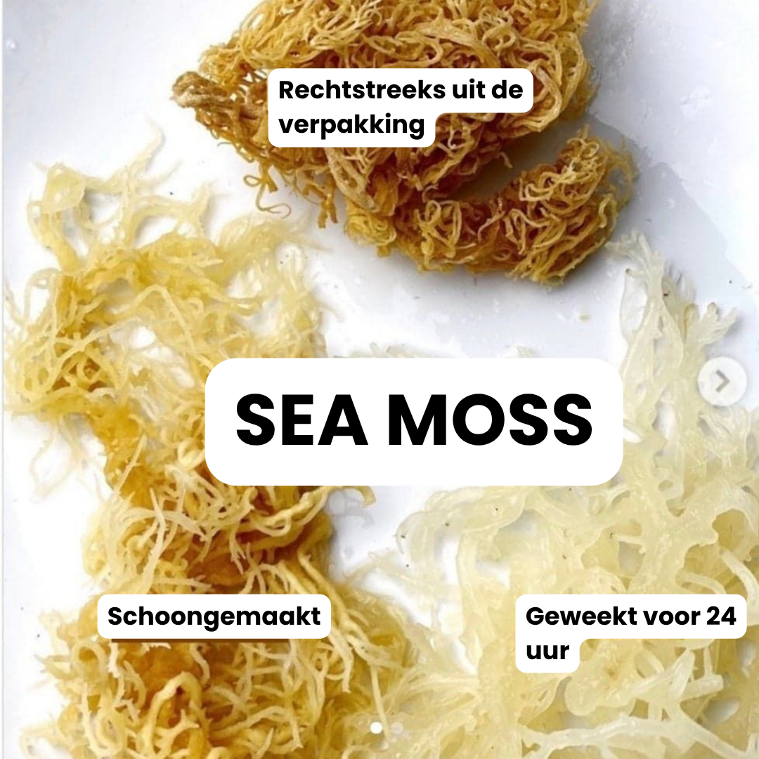 Sea Moss Wildgevangen Zongedroogd | 100 Gram