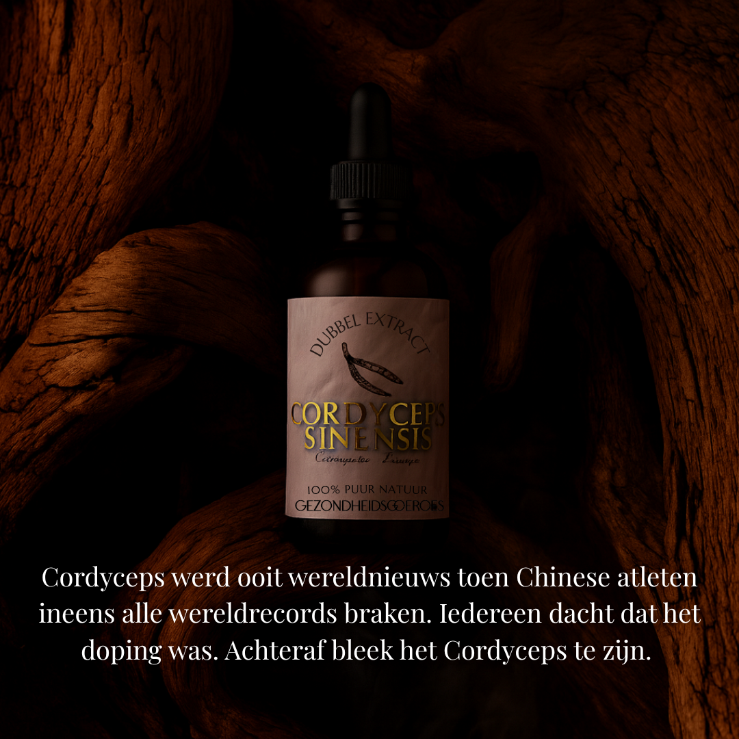 Cordyceps extract 10:1 | Vloeibaar alcohol & water tinctuur.