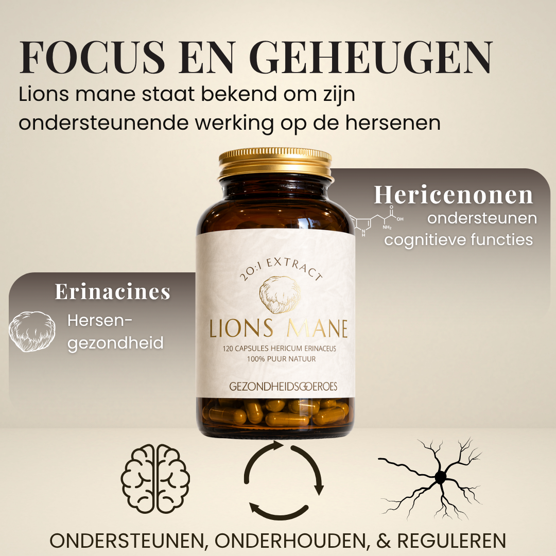 Lions Mane Extract 20:1 | 120 Capsules
