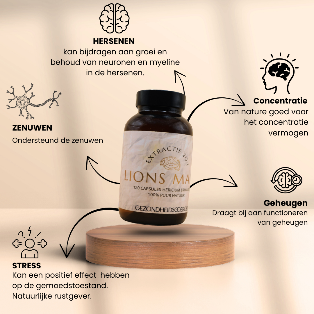 Lions Mane Extract 20:1 | 120 Capsules