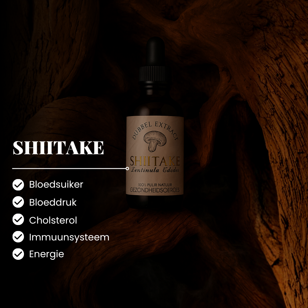 Shiitake Extract 10:1 | Vloeibaar alcohol & water tinctuur.