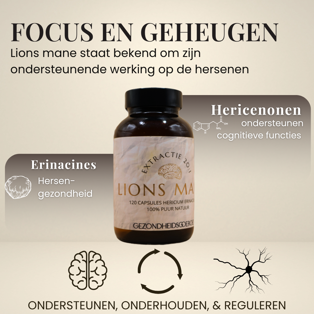Lions Mane Extract 20:1 | 120 Capsules