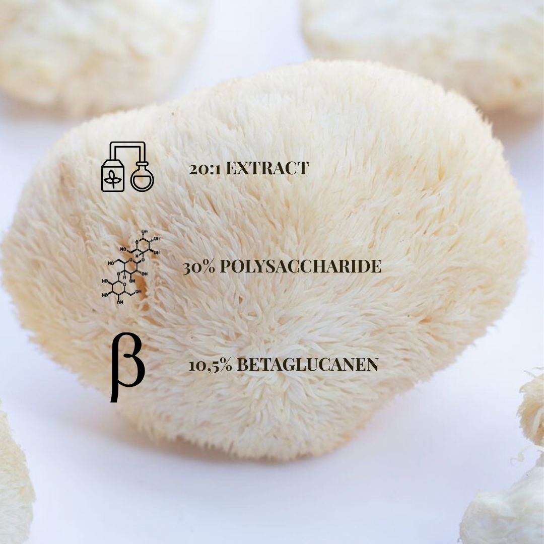 Lions Mane Extract 20:1 | 120 Capsules