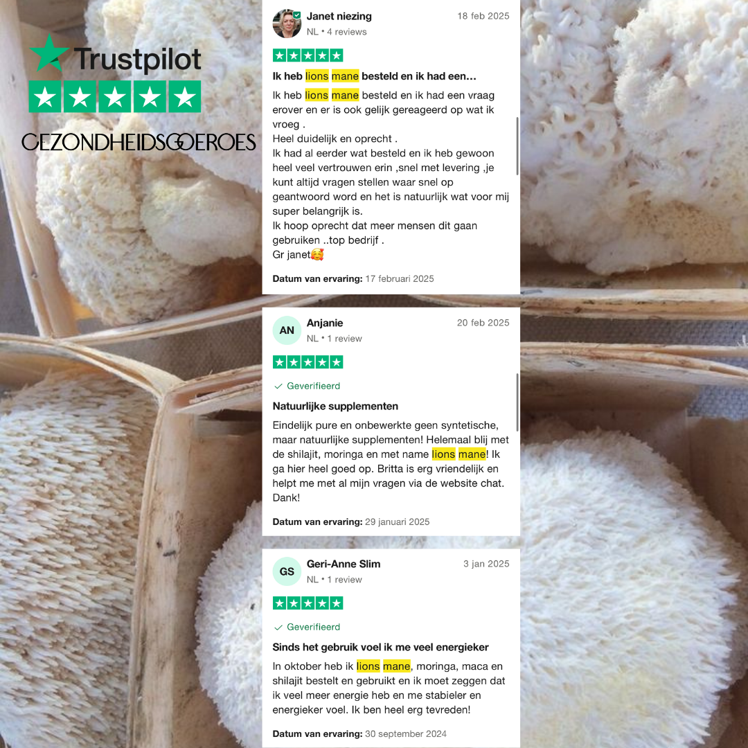 Lions Mane Extract 20:1 | 120 Capsules