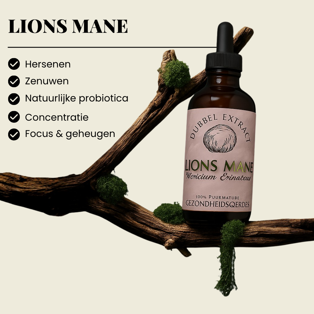 Lions Mane Extract 10:1 | Vloeibaar alcohol & water tinctuur.