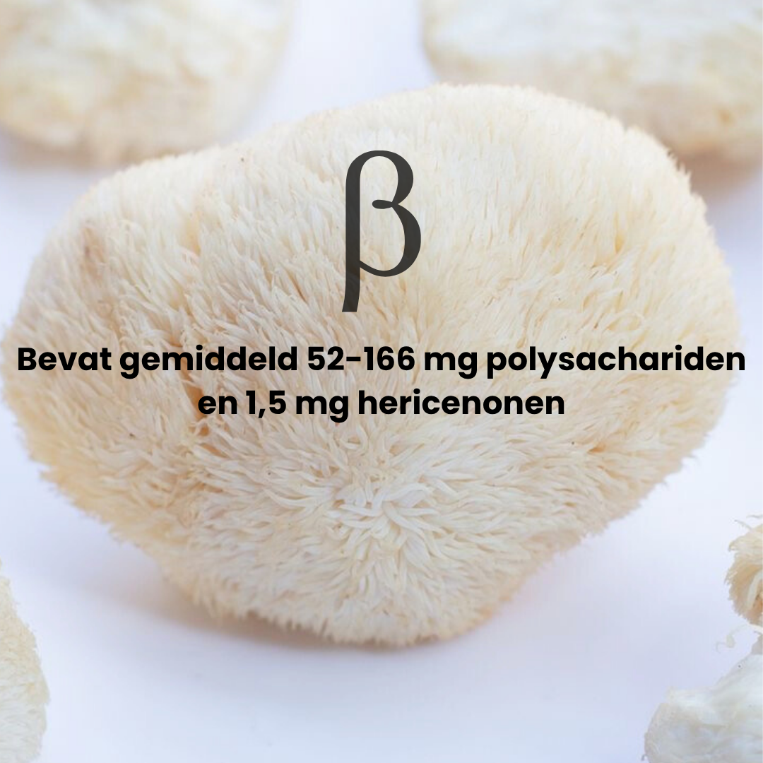 Lions Mane Extract 10:1 | Vloeibaar alcohol & water tinctuur.