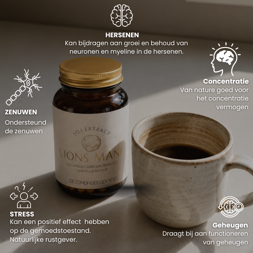 Lions Mane Extract 20:1 | 120 Capsules