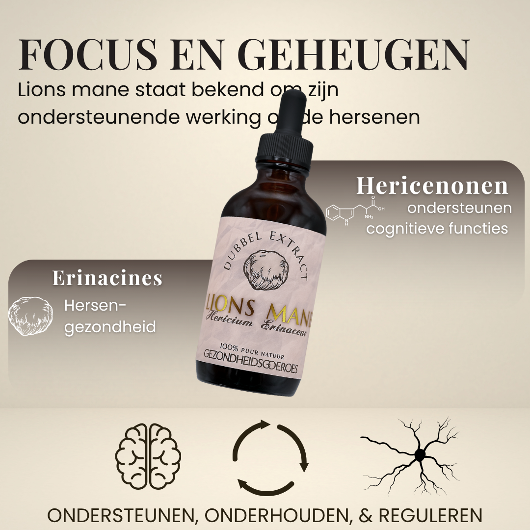 Lions Mane Extract 10:1 | Vloeibaar alcohol & water tinctuur.