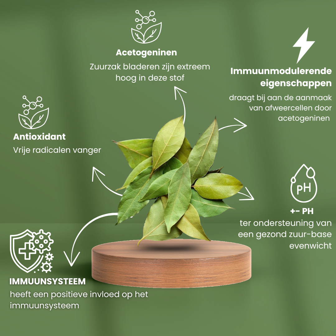 Zuurzak-Graviola bladeren | 100 - 250 Gram
