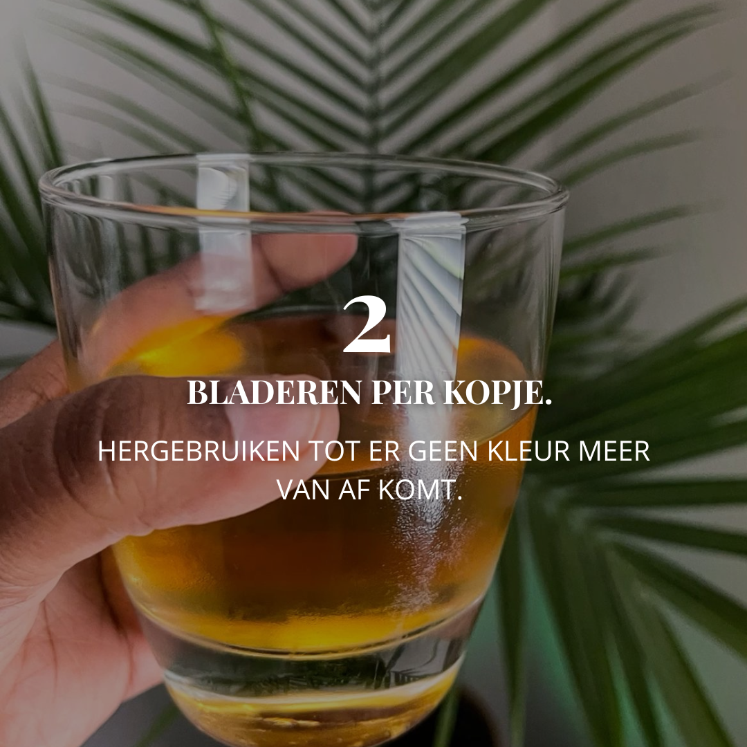 Zuurzak-Graviola bladeren | 100 - 250 Gram