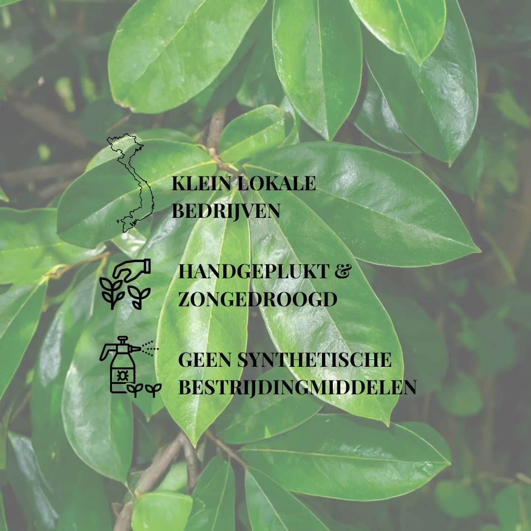 Thee set: Ceremoniele Matcha, Kruizenmunt & Zuurzak bladeren