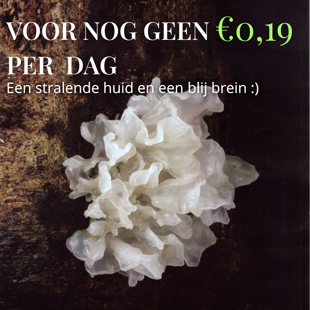 Tremella extract 10:1 | Vloeibaar alcohol & water tinctuur.