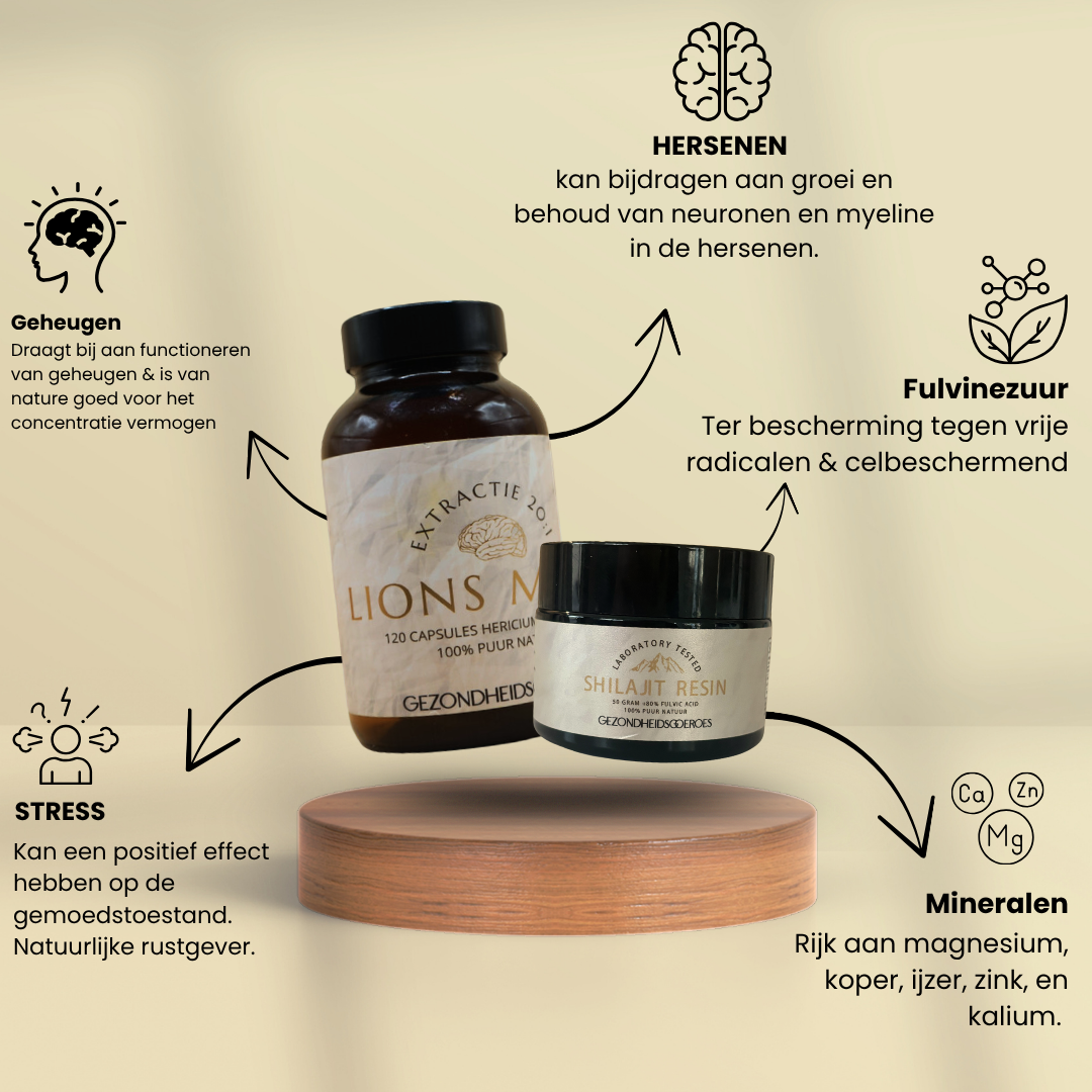 Brain supporter | Lions Mane & Shilajit