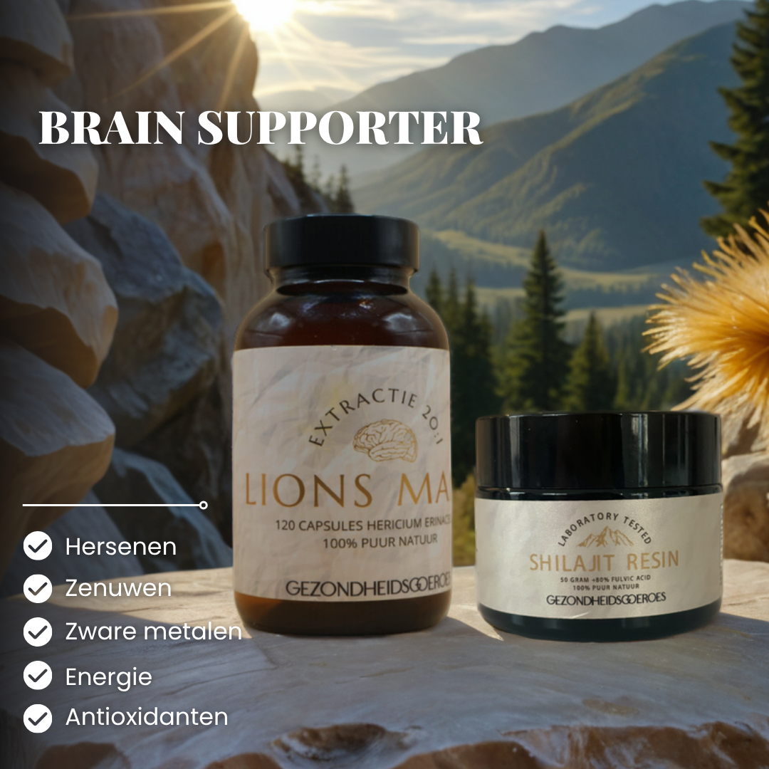 Brain supporter | Lions Mane & Shilajit