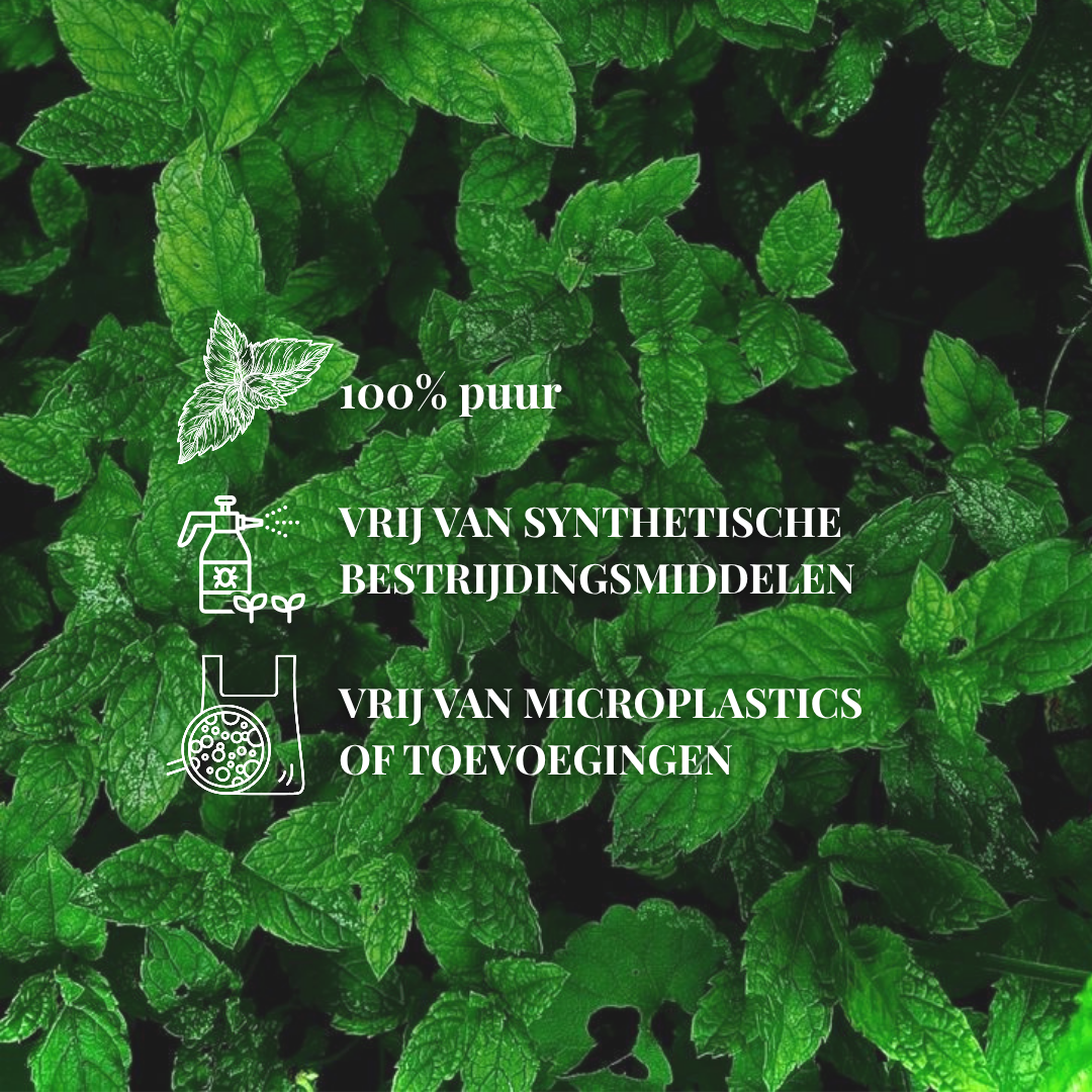 Kruizenmunt Thee | 200 Gram