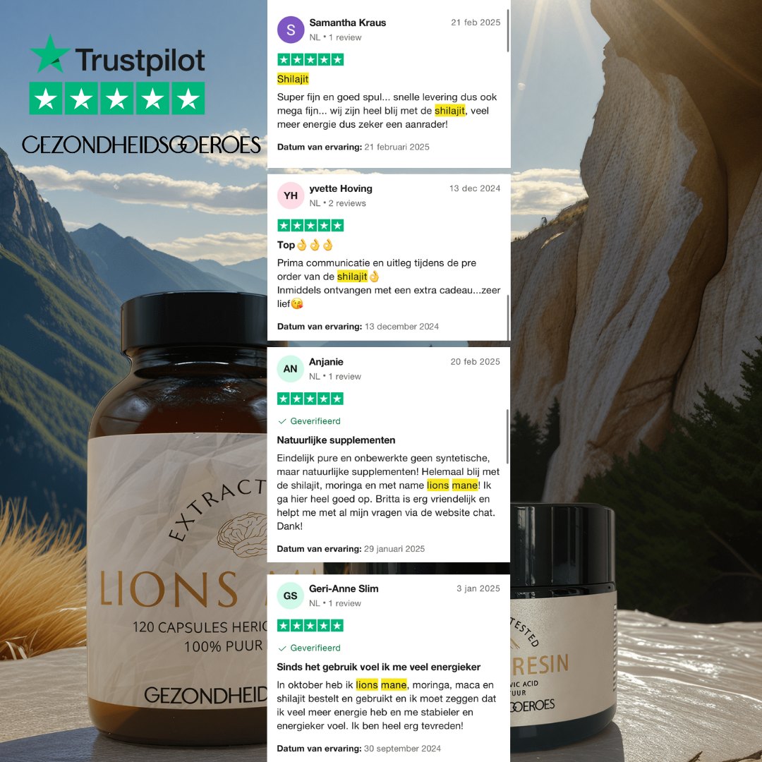 Brain supporter | Lions Mane & Shilajit