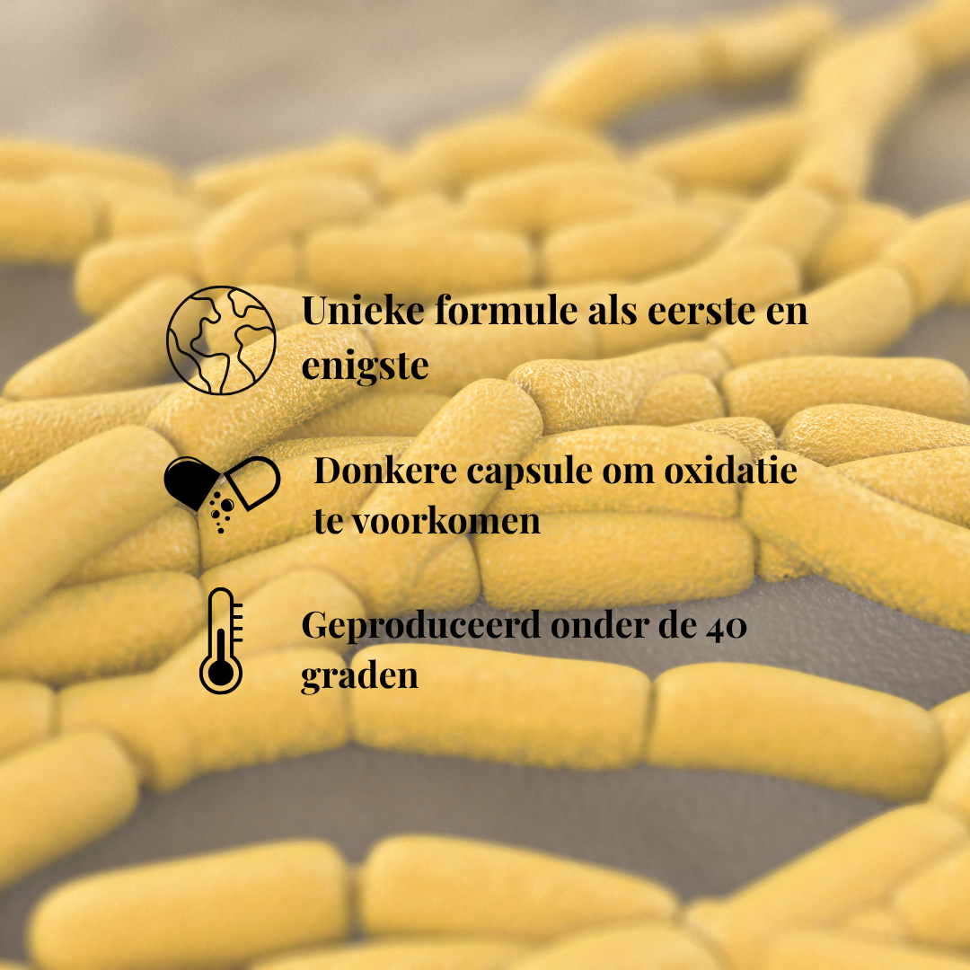 Probiotica Verloren Bacteriestammen | 120 Capsules