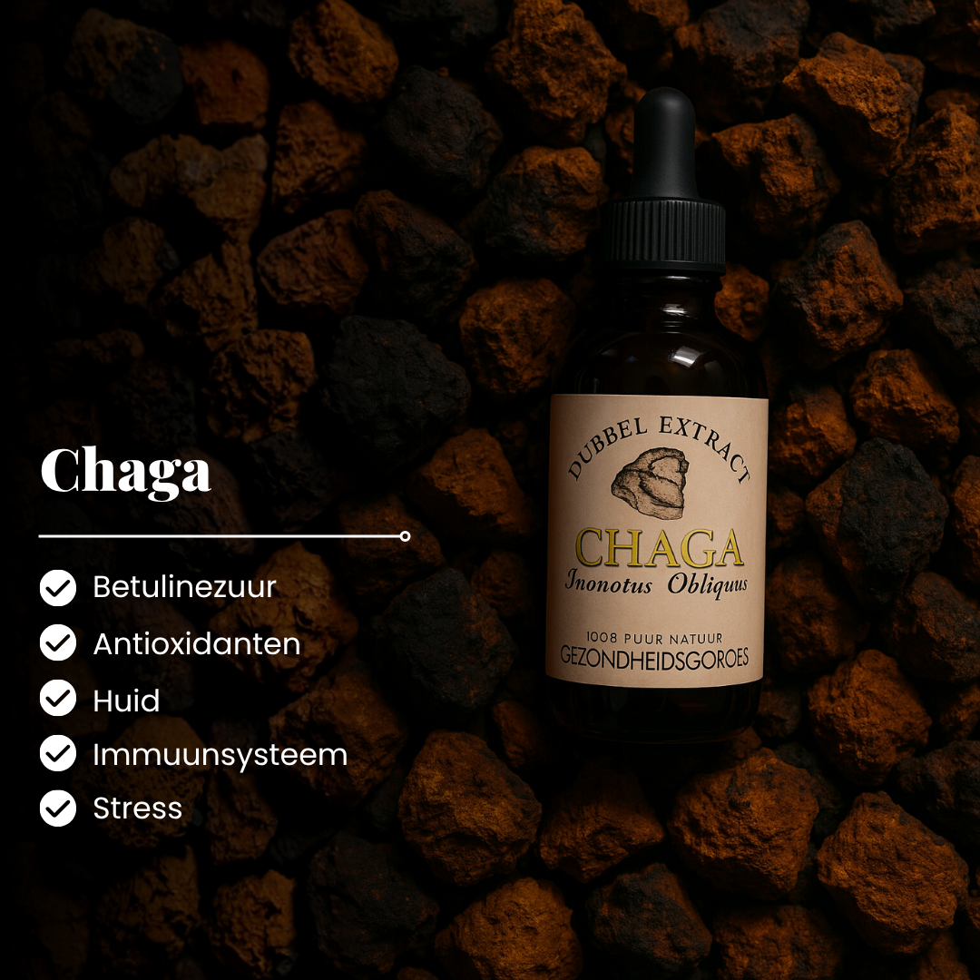 Chaga Extract 10:1 | Vloeibaar alcohol & water tinctuur.
