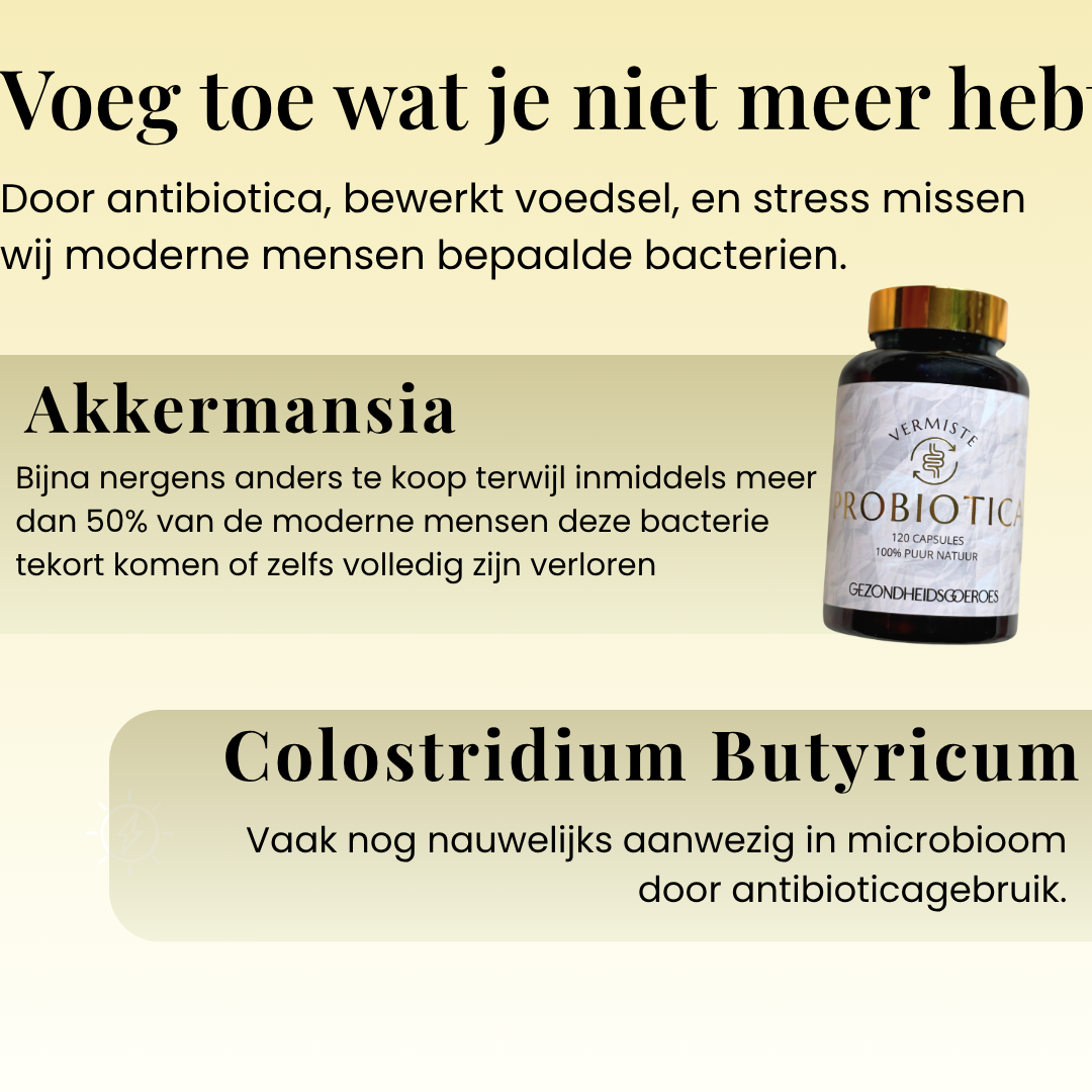 Probiotica Verloren Bacteriestammen | 120 Capsules