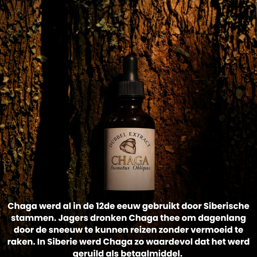 Chaga Extract 10:1 | Vloeibaar alcohol & water tinctuur.