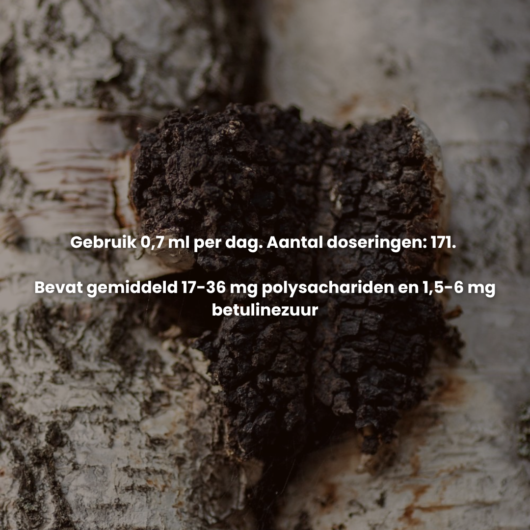 Chaga Extract 10:1 | Vloeibaar alcohol & water tinctuur.