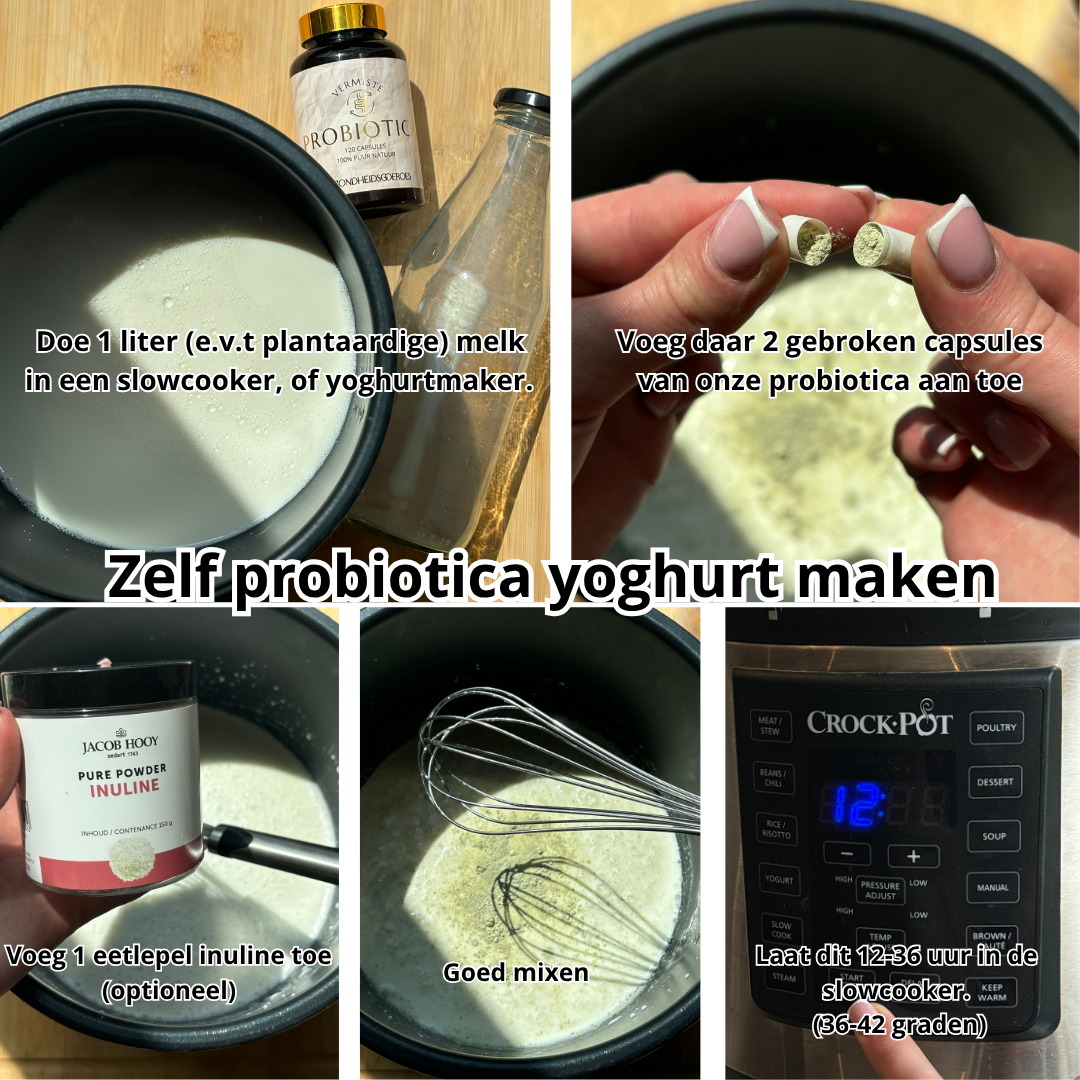 Probiotica Verloren Bacteriestammen | 120 Capsules