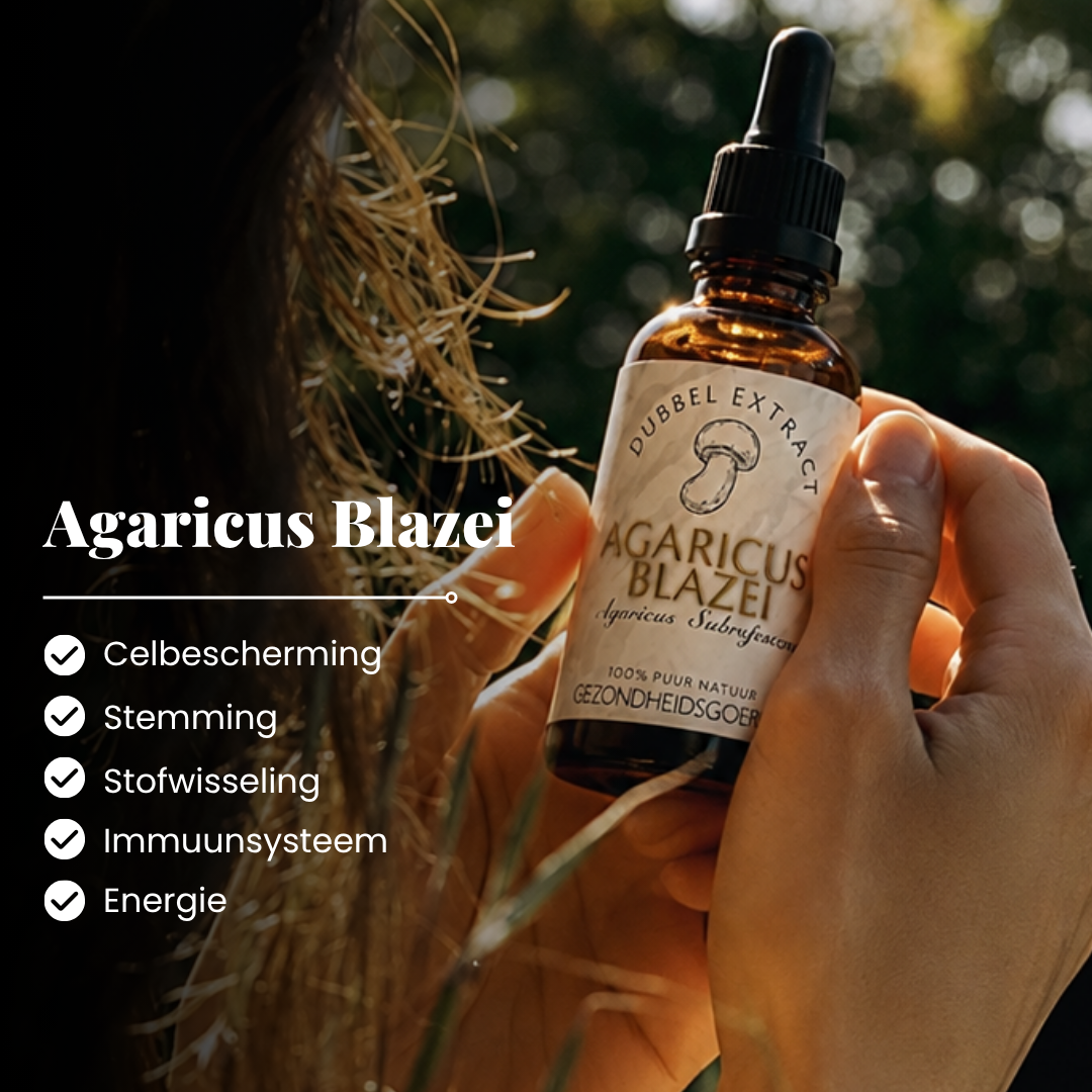 Agaricus Blazei Extract 10:1 | Vloeibaar alcohol & water tinctuur.