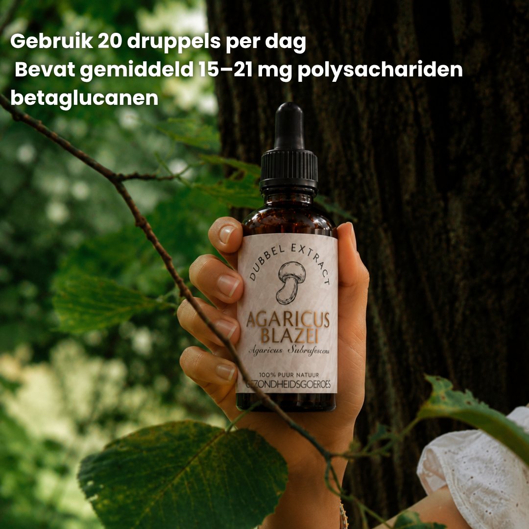 Agaricus Blazei Extract 10:1 | Vloeibaar alcohol & water tinctuur.