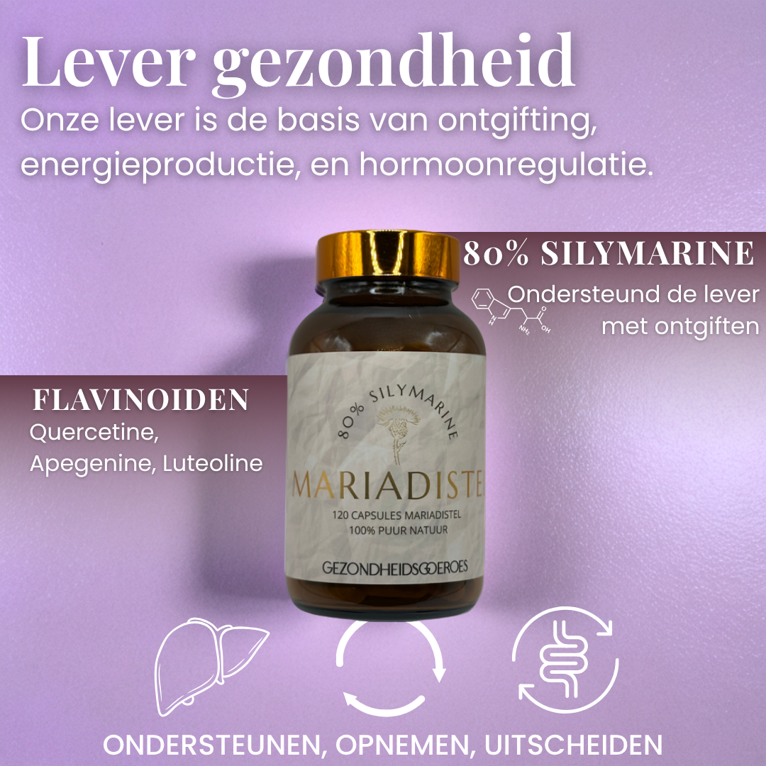 Mariadistel +80% Silymarine | 120 capsules
