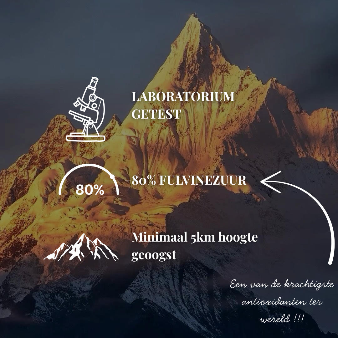 Shilajit Concentratie +80% fulvinezuur | 50 Gram Extract