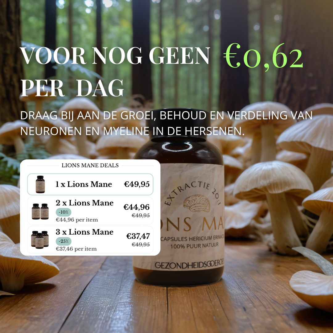 Lions Mane Extract 20:1 | 120 Capsules