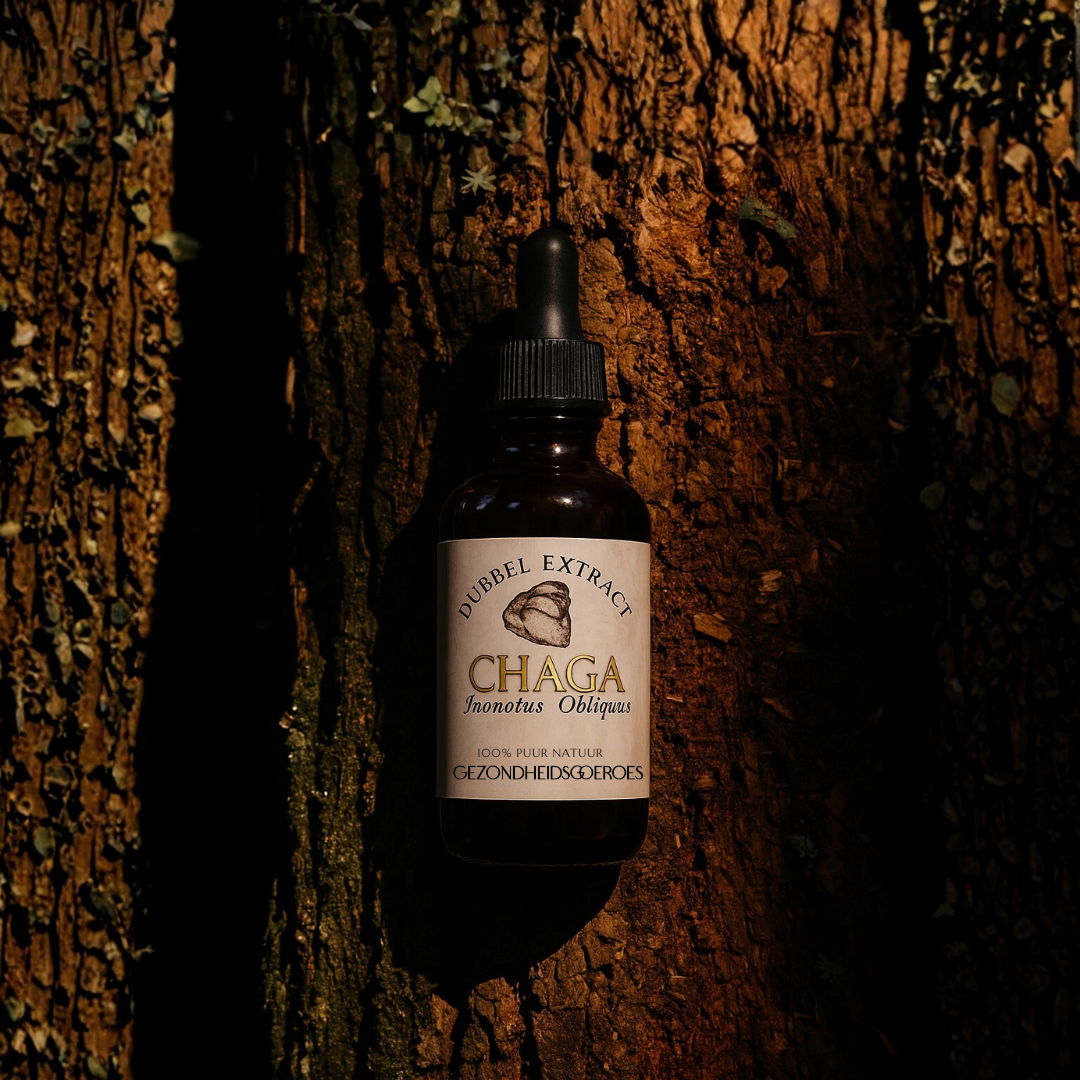 Chaga Extract 10:1 | Vloeibaar alcohol & water tinctuur.