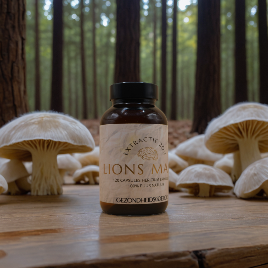 Lions Mane Extract 20:1 | 120 Capsules
