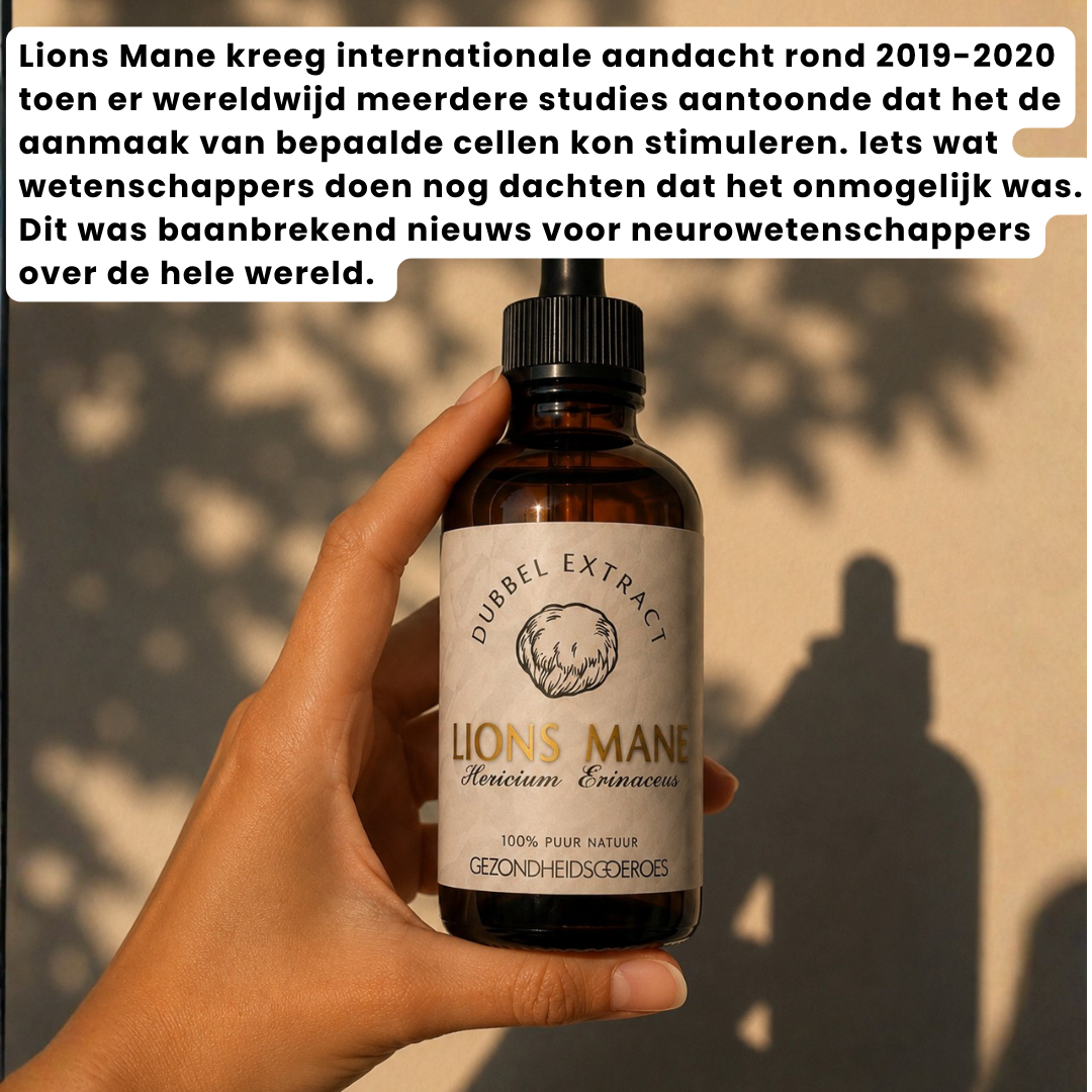 Lions Mane extract 10:1 | Vloeibaar alcohol & water tinctuur.