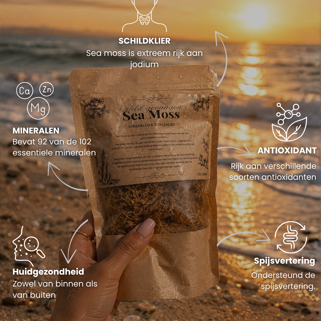 Sea Moss Wildgevangen Zongedroogd | 100 Gram - Mix goud & paars