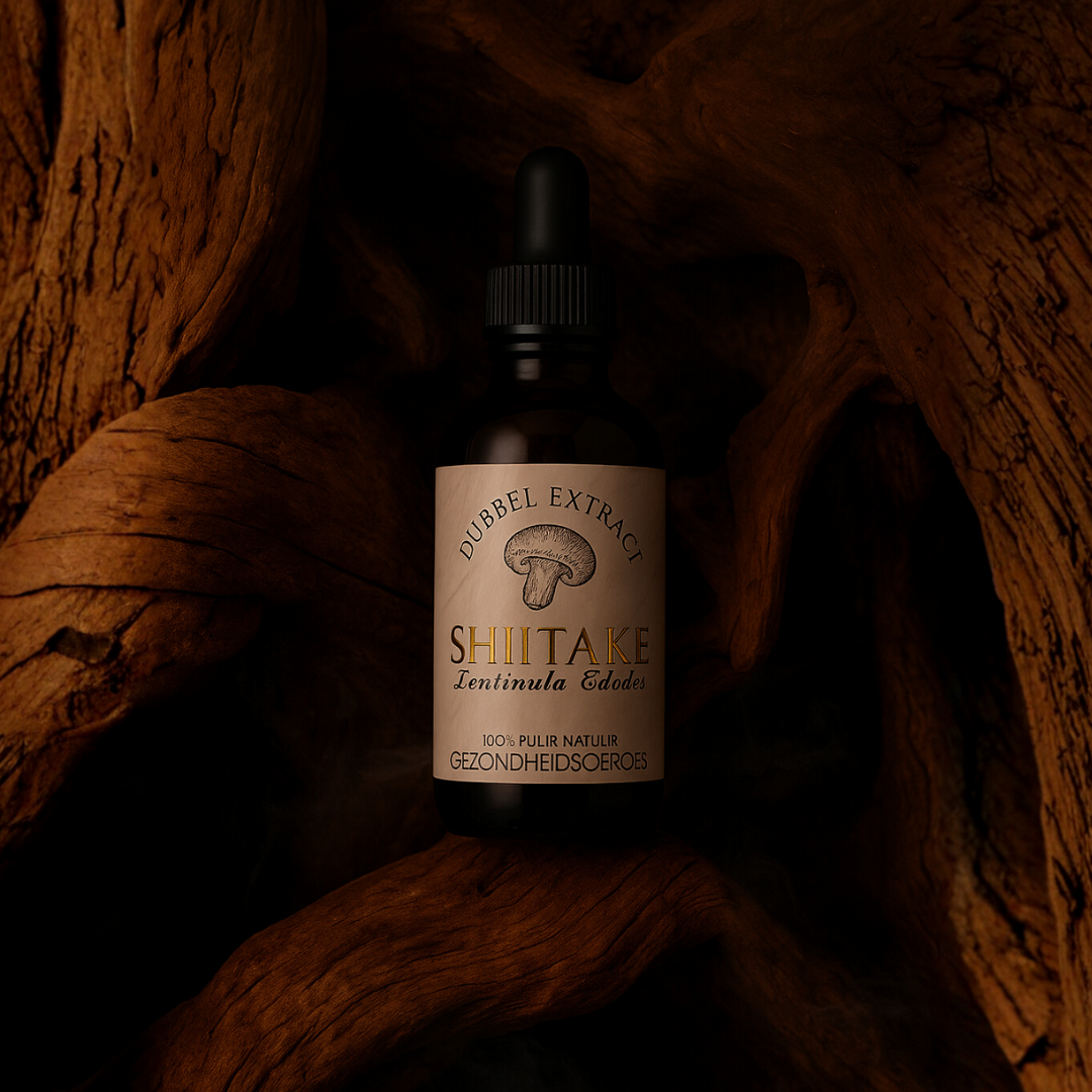 Shiitake Extract 10:1 | Vloeibaar alcohol & water tinctuur.