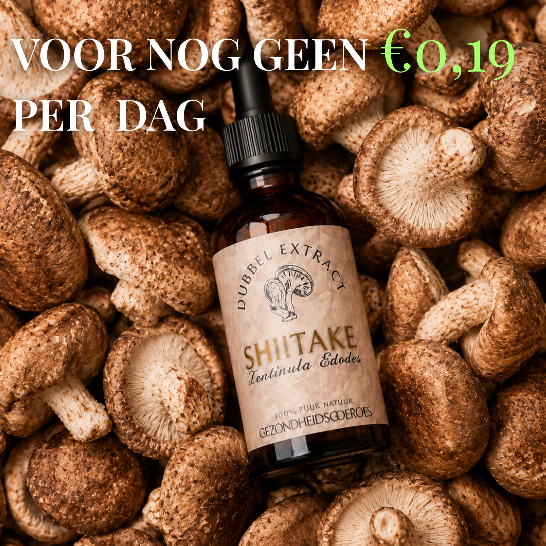 Shiitake extract 10:1 | Vloeibaar alcohol & water tinctuur.