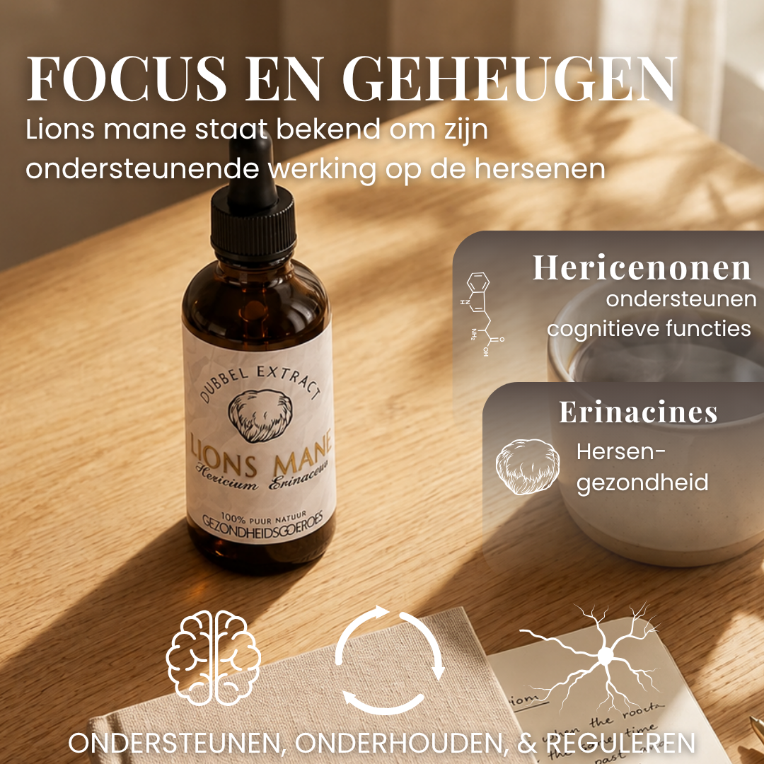 Lions Mane extract 10:1 | Vloeibaar alcohol & water tinctuur.
