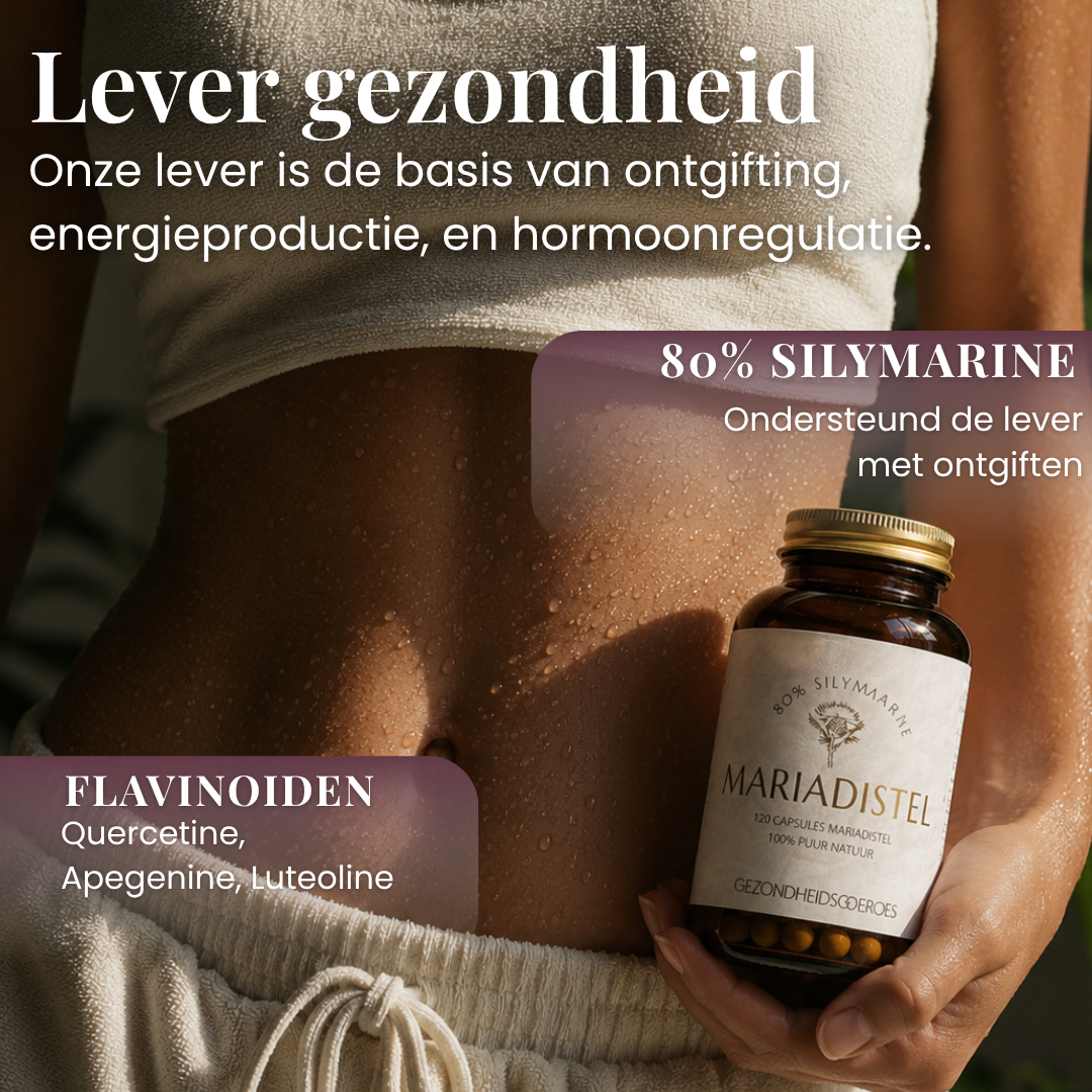 Mariadistel +80% Silymarine | 120 capsules