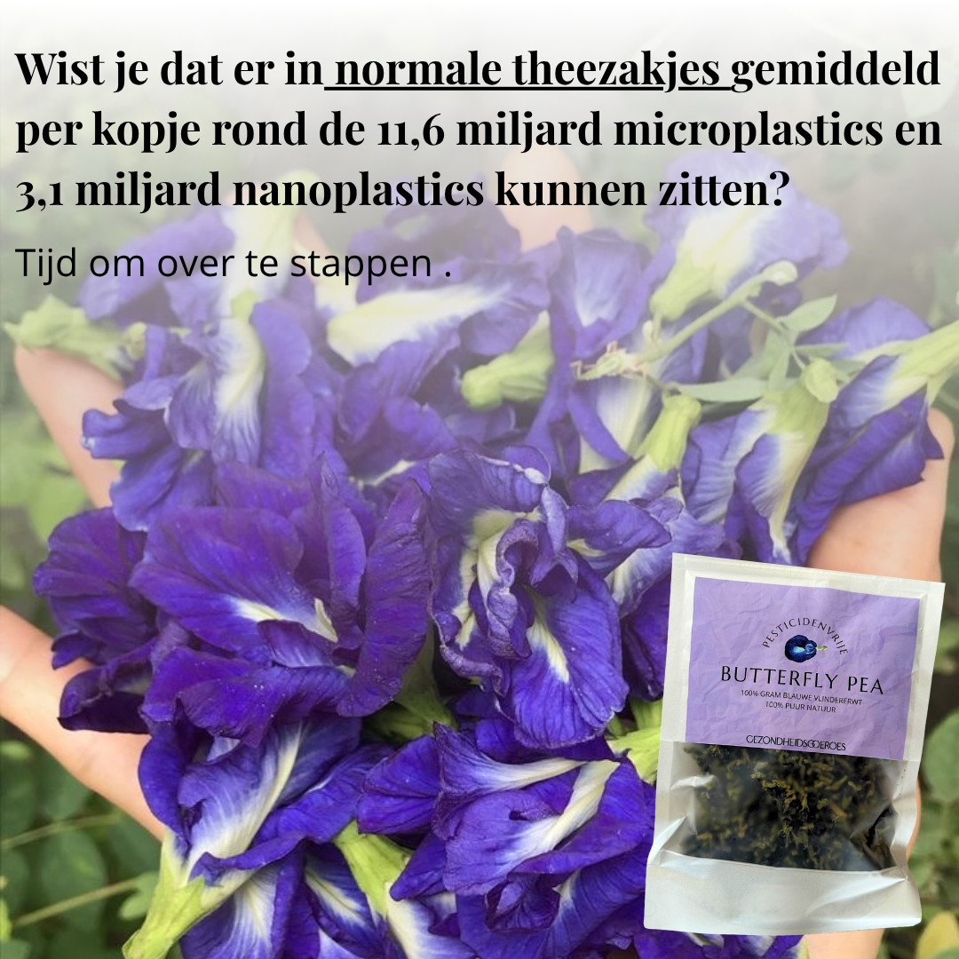 Blue Butterfly Pea Vlindererwt
