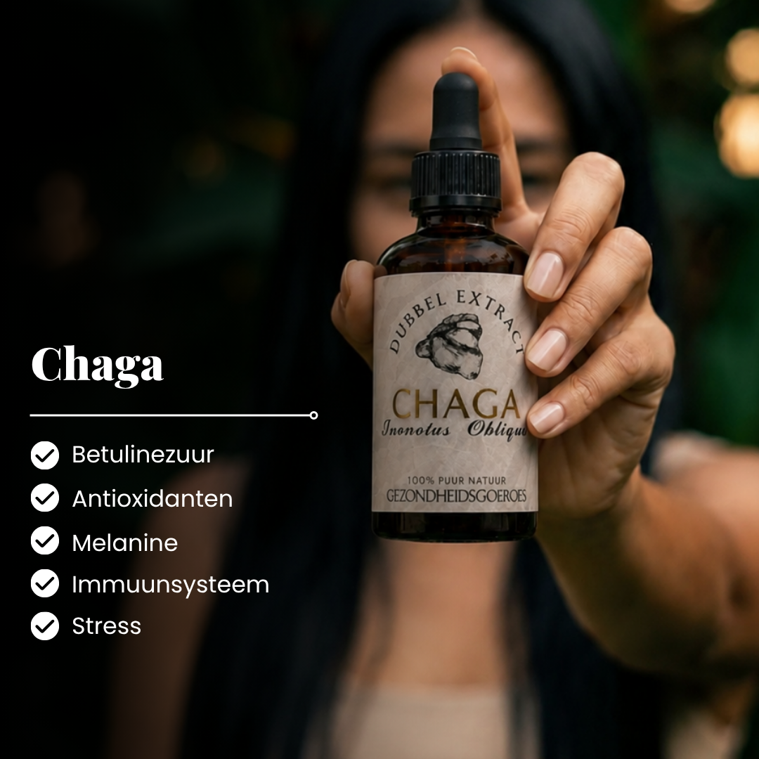Chaga extract 10:1 | Vloeibaar alcohol & water tinctuur.
